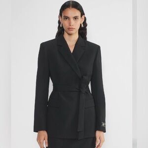 Aritzia Babaton Innovate Blazer
